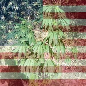 Meet your Posher, Jerry